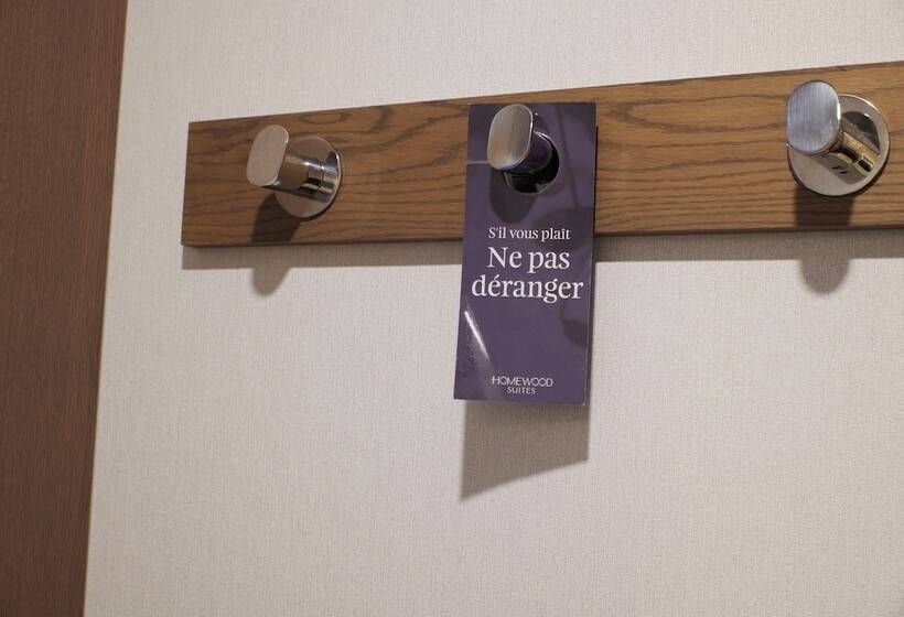 Номер Базовый Двуспальная Кровать, Hampton Inn By Hilton Montreal Downtown