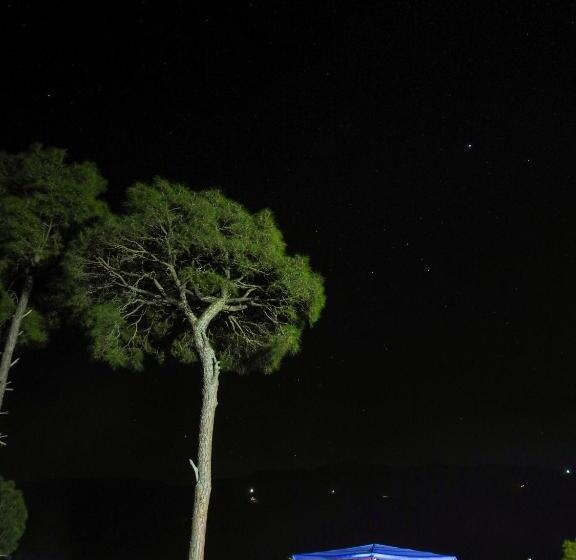 غرفة قياسية فردية, Golden Valley Cottages, Chail