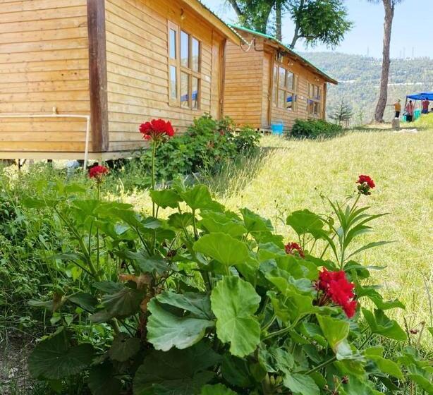 오두막, Golden Valley Cottages, Chail
