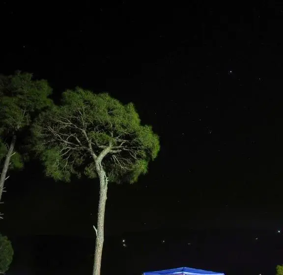 キャビン, Golden Valley Cottages, Chail
