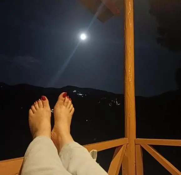 キャビン, Golden Valley Cottages, Chail