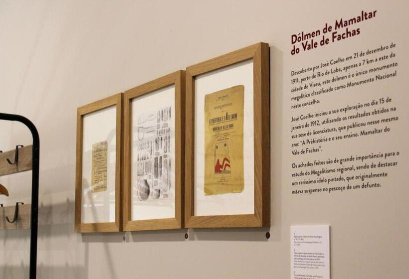 اتاق استاندارد با چشم‌انداز باغ, Casa Da Torre   Viseu
