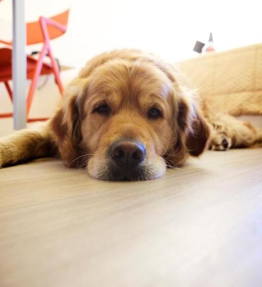 غرفة قياسية فردية, Alaska