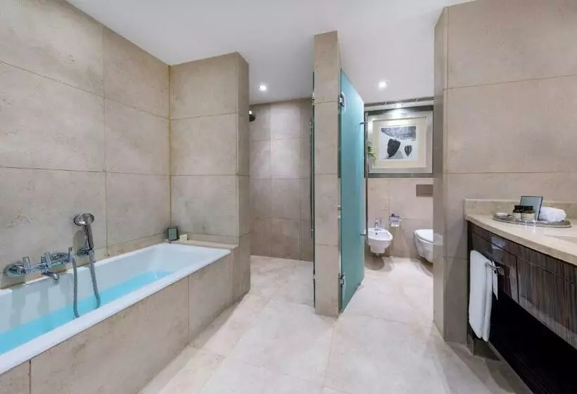 اتاق استاندارد, Fairmont Nile City