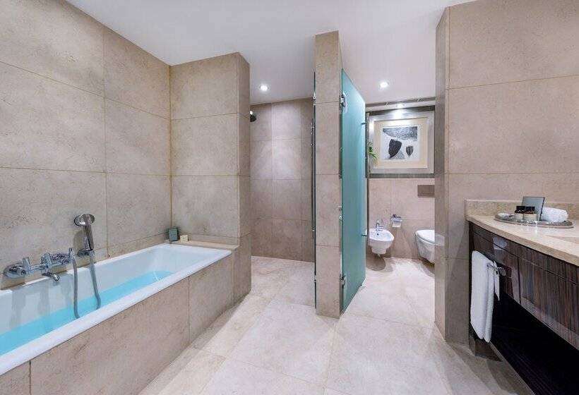 اتاق استاندارد, Fairmont Nile City