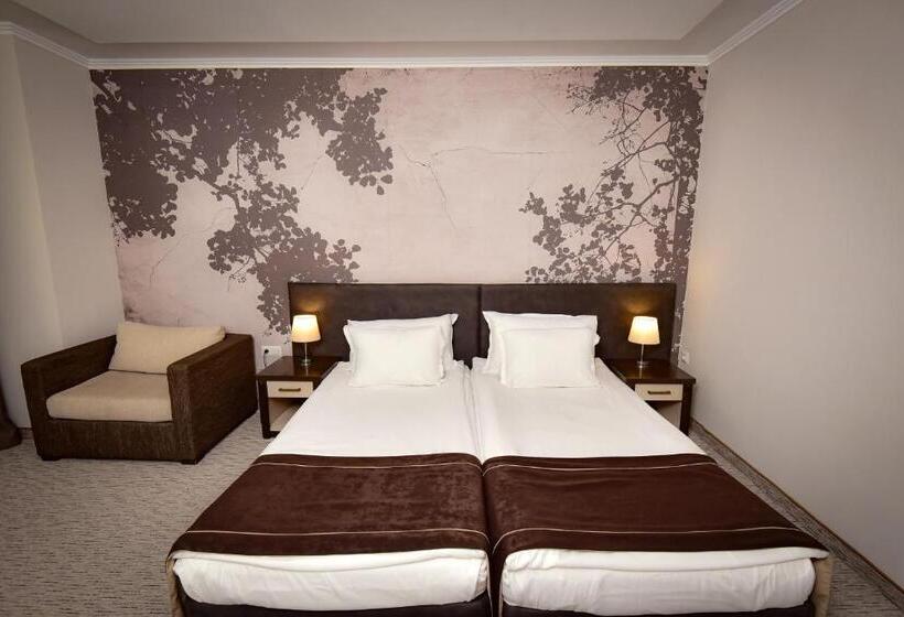 Номер Стандарт, Rhodopi Home Hotel Chepelare   Half Board & Wellness