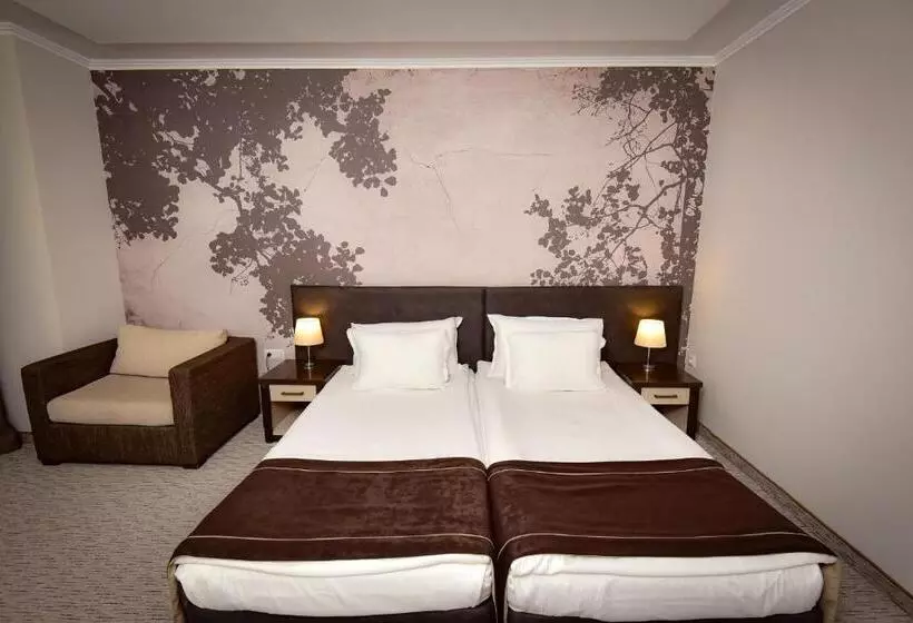 اتاق استاندارد, Rhodopi Home Hotel Chepelare   Half Board & Wellness