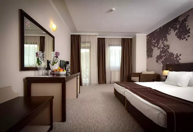اتاق استاندارد, Rhodopi Home Hotel Chepelare   Half Board & Wellness