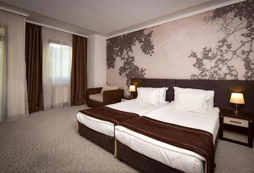 اتاق استاندارد, Rhodopi Home Hotel Chepelare   Half Board & Wellness