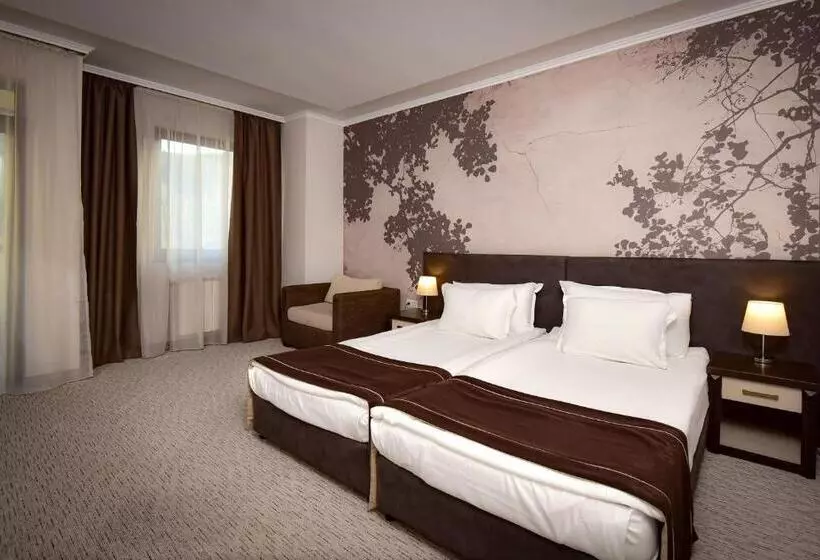 اتاق استاندارد, Rhodopi Home Hotel Chepelare   Half Board & Wellness
