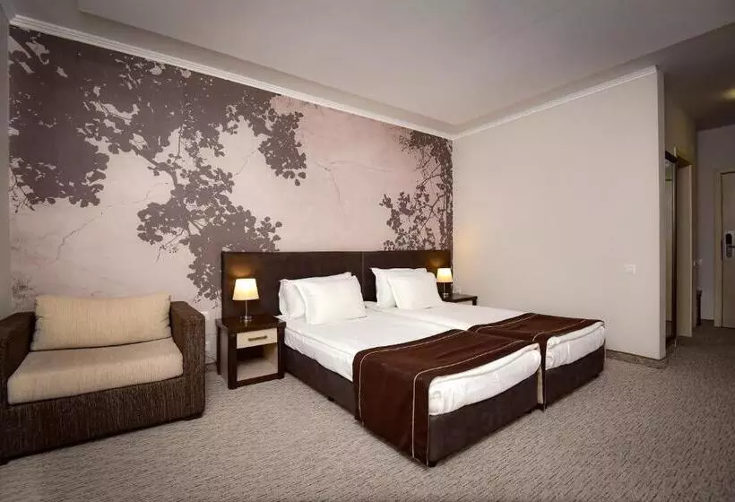 اتاق استاندارد, Rhodopi Home Hotel Chepelare   Half Board & Wellness