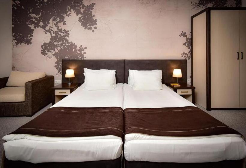 Номер Стандарт, Rhodopi Home Hotel Chepelare   Half Board & Wellness