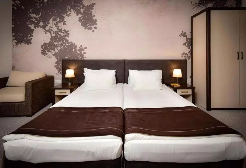 اتاق استاندارد, Rhodopi Home Hotel Chepelare   Half Board & Wellness