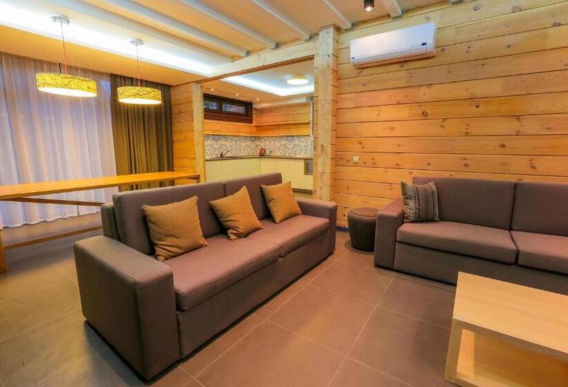 Апартаменты 1 Спальня, трипільське сонце