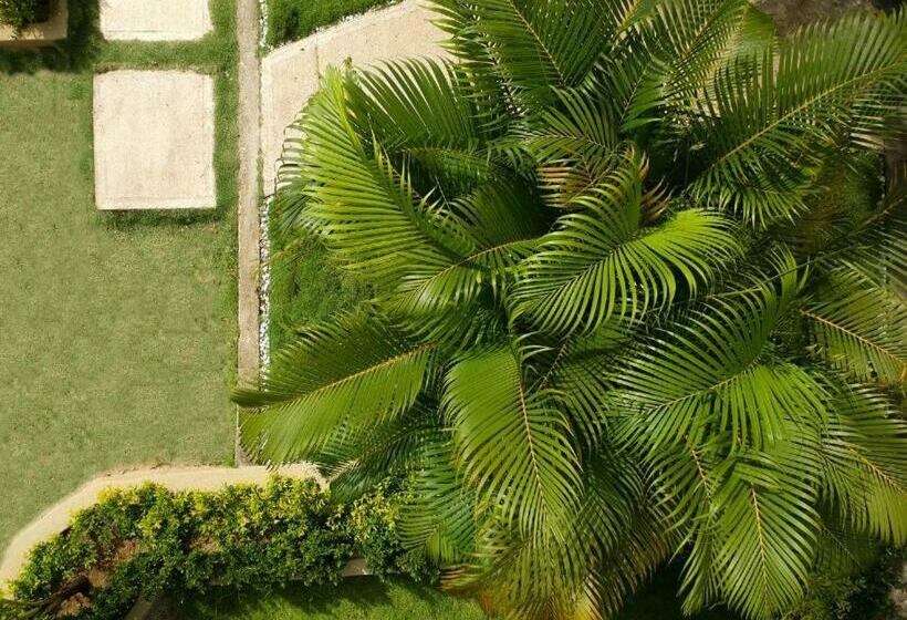 Junior Suite con Terraza, Isabella Tayrona