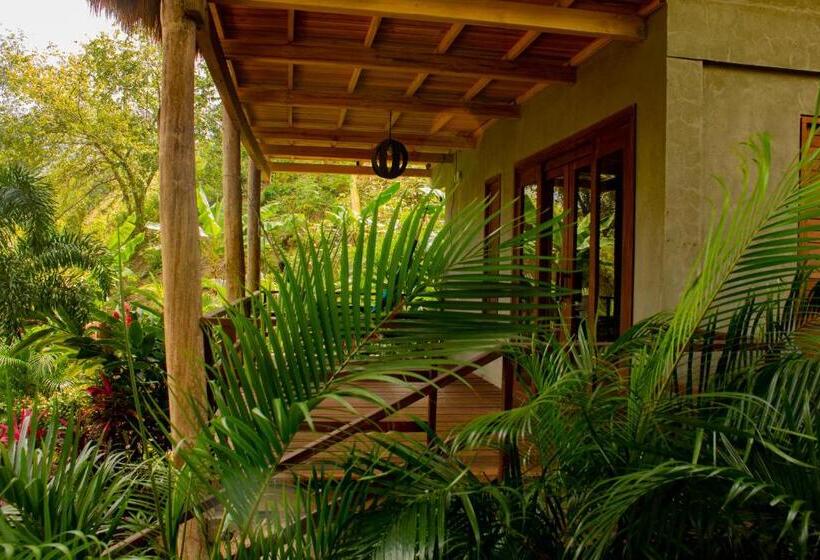 Bungalow Deluxe, Isabella Tayrona