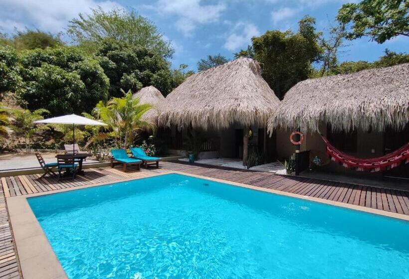 Suite Superior, Isabella Tayrona