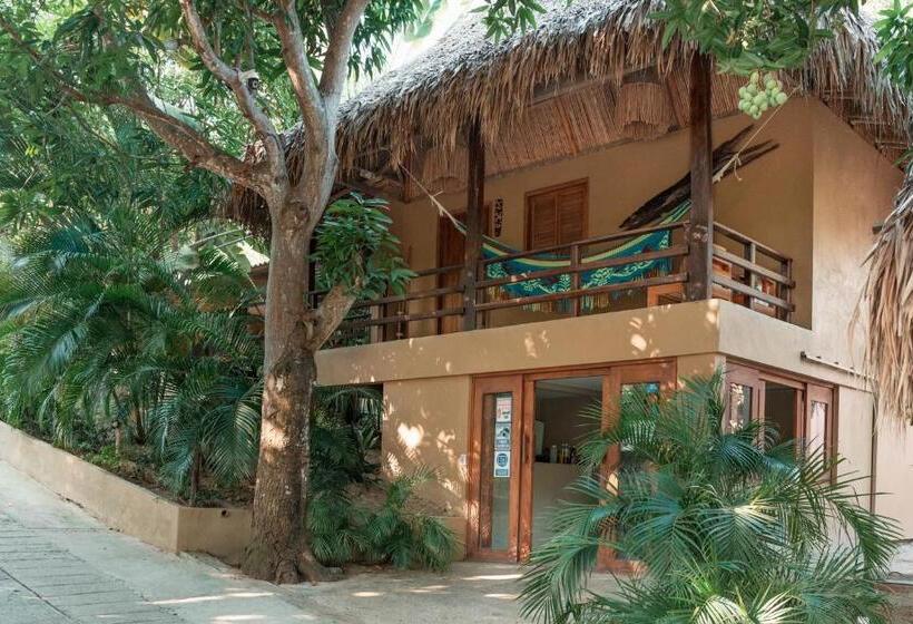 Bungalow Estándar, Isabella Tayrona