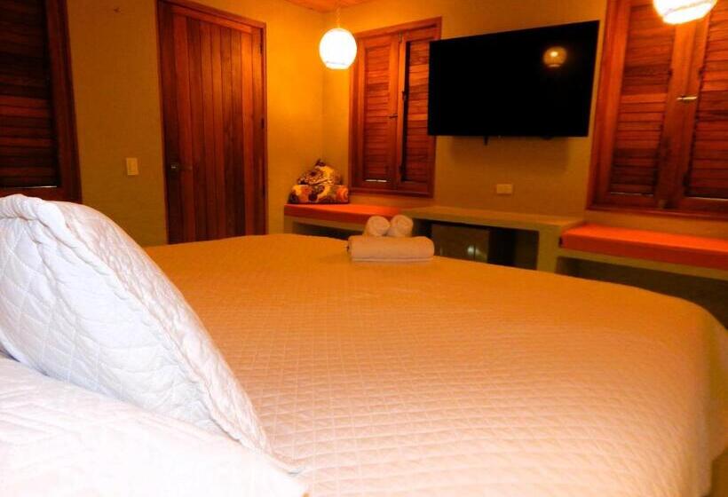 Bungalow Estándar, Isabella Tayrona