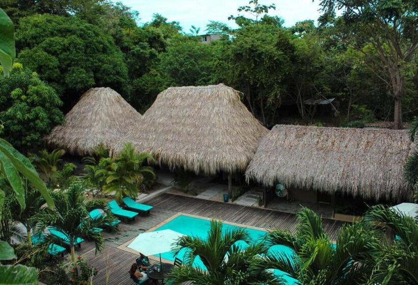 Suite Superior, Isabella Tayrona