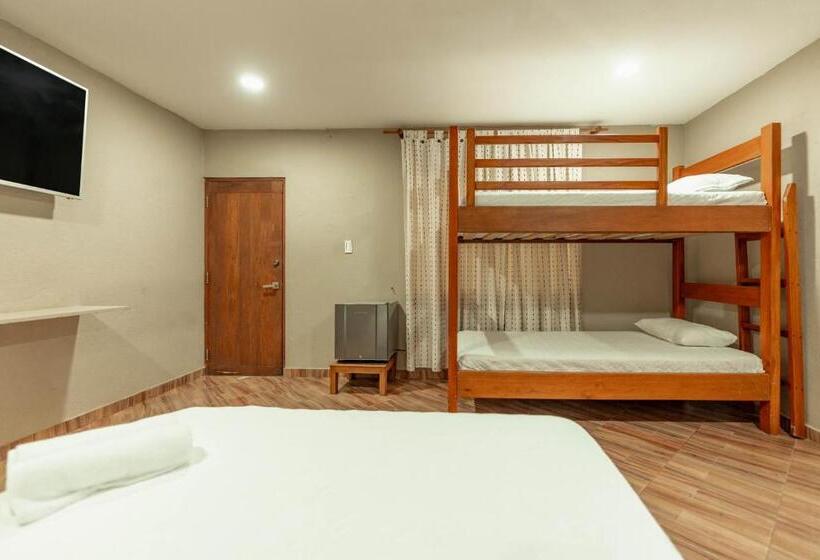 Habitación Familiar, Isabella Tayrona