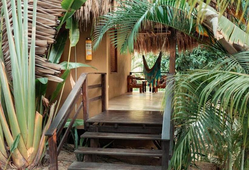 Bungalow Estándar, Isabella Tayrona