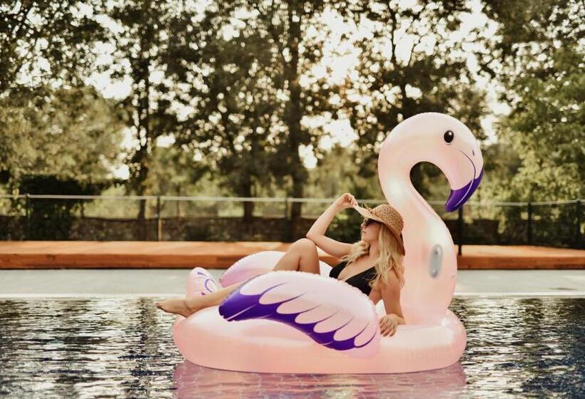 غرفة إقتصادية, Pyramid Boutique