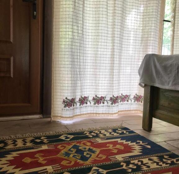 غرفة إقتصادية, Pyramid Boutique