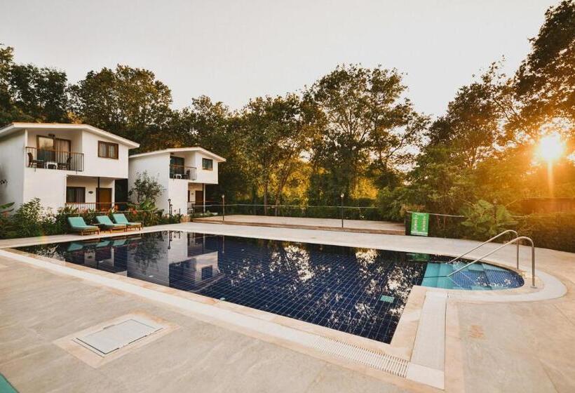 غرفة ديلوكس, Pyramid Boutique