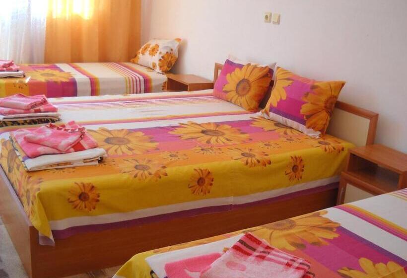 スタンダード４人部屋, Sani Family