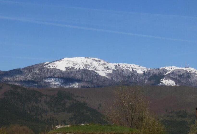 חדר סטנדרט לשלושה, House Drakulić