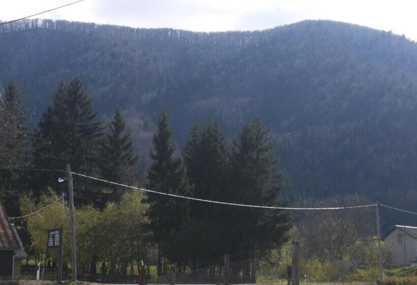 חדר סטנדרט לשלושה, House Drakulić