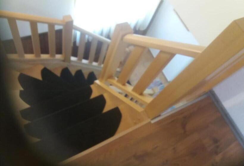 חדר משפחתי, House Drakulić