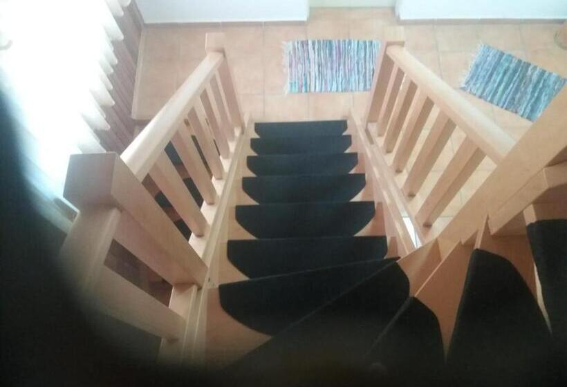 חדר משפחתי, House Drakulić