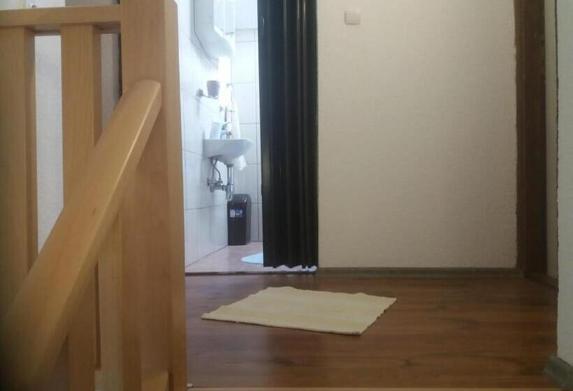 חדר משפחתי, House Drakulić