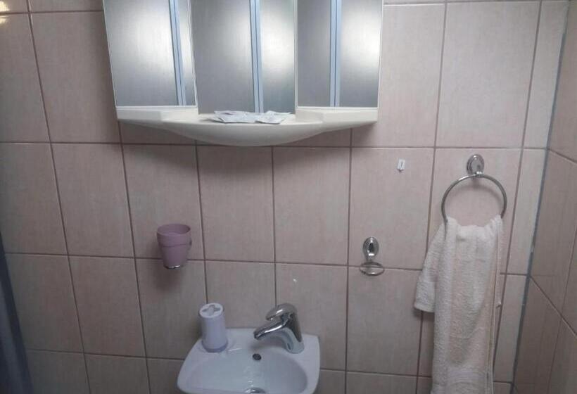 חדר משפחתי, House Drakulić