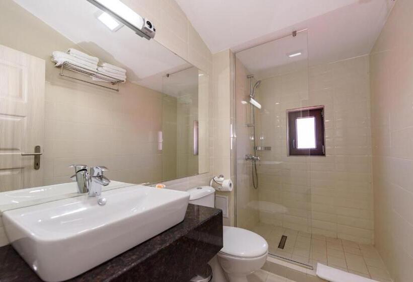 חדר סטנדרט עם מרפסת, Vila Iulia