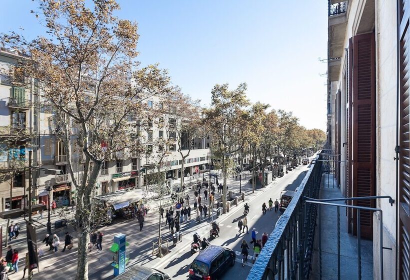 Номер Стандарт, Exe Ramblas Boqueria