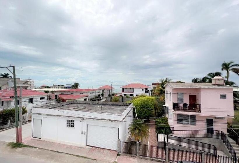 이코노미 룸, Las Palmas