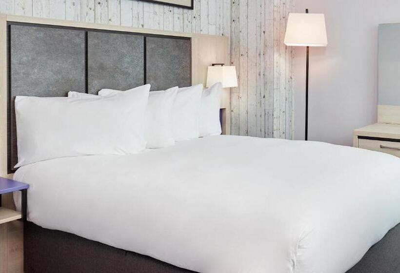 اتاق استاندارد, Leonardo Sheffield