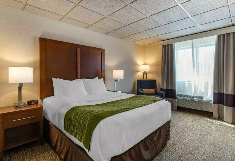 Standard-huone, Comfort Inn & Suites Gateway To Glacier National Park