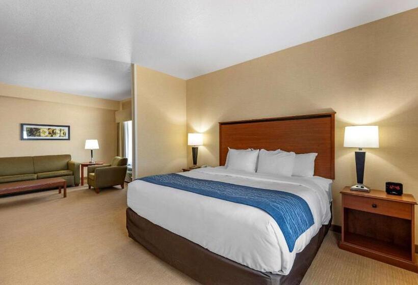 جناح سرير كينج, Comfort Inn & Suites Gateway To Glacier National Park
