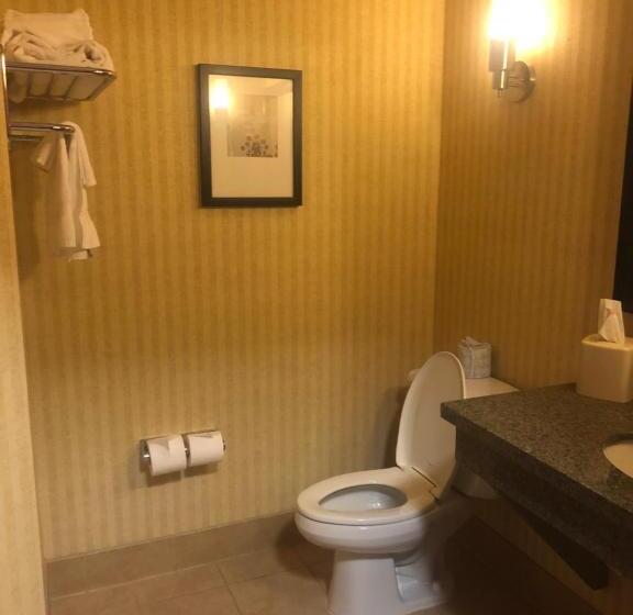 جناح, Comfort Inn & Suites Gateway To Glacier National Park