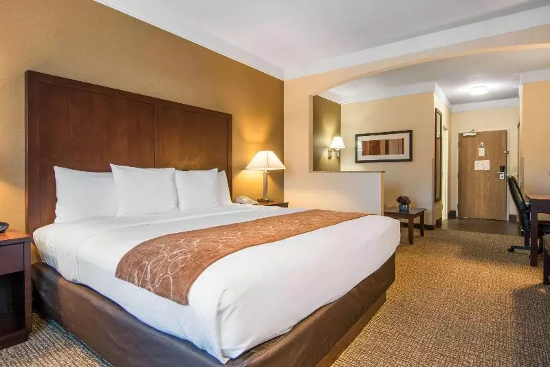 Sviitti King-vuode, Comfort Suites Linn County Fairground And Expo