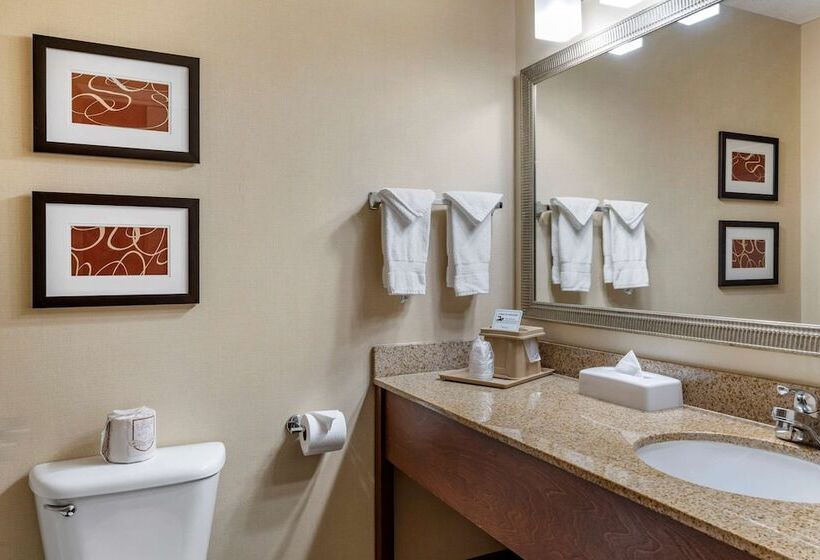 スイート, Comfort Suites Linn County Fairground And Expo