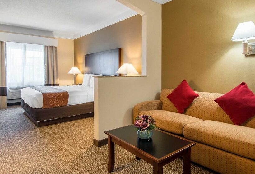 スイート, Comfort Suites Linn County Fairground And Expo