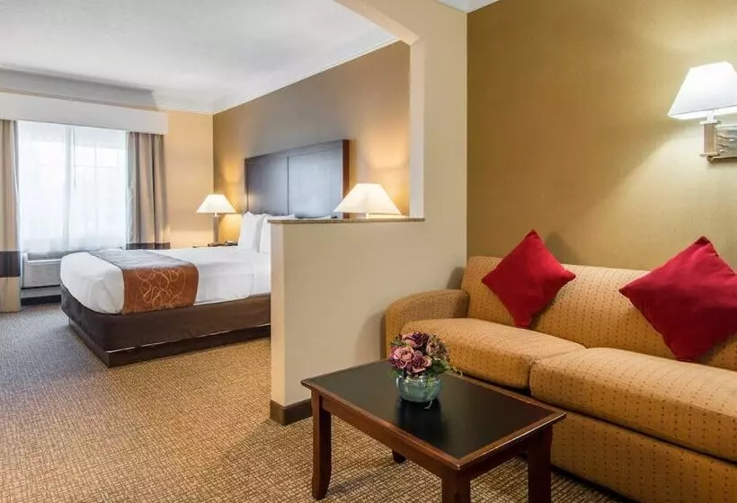 Sviitti, Comfort Suites Linn County Fairground And Expo
