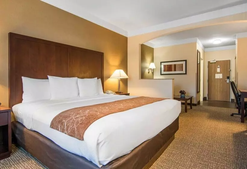 スイート, Comfort Suites Linn County Fairground And Expo