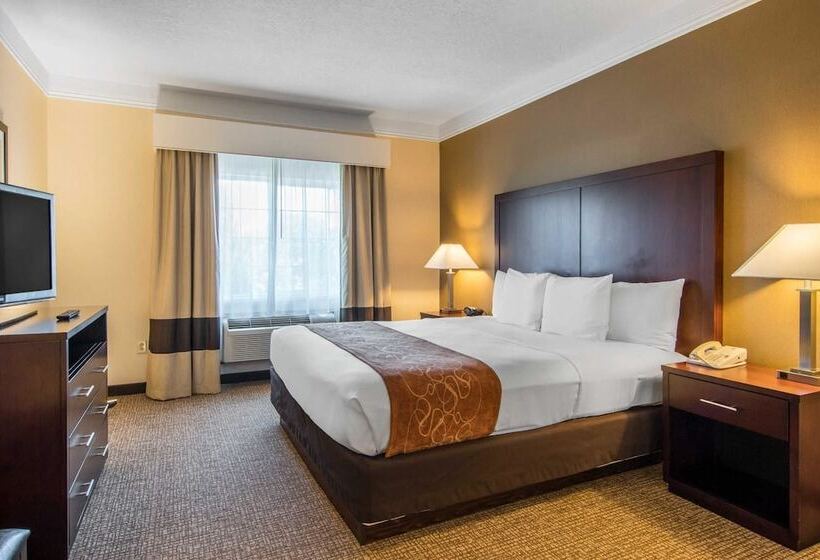 スイート, Comfort Suites Linn County Fairground And Expo