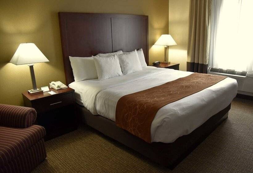 スイート, Comfort Suites Linn County Fairground And Expo